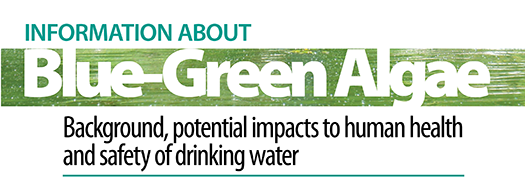 Blue Green Algae Banner