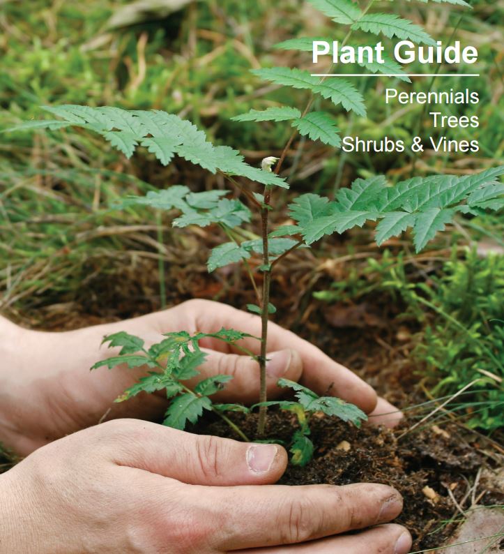 Plant Guide